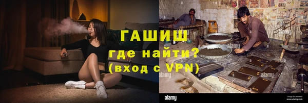 индика Алексин