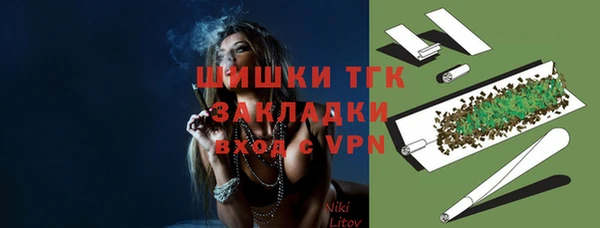 индика Алексин