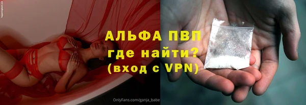 индика Алексин