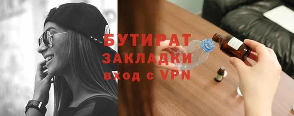 индика Алексин